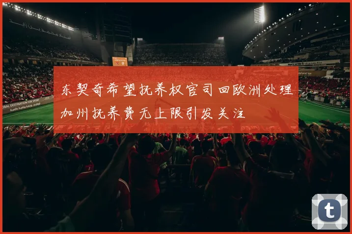 东契奇希望抚养权官司回欧洲处理加州抚养费无上限引发关注