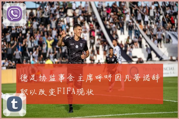 德足协监事会主席呼吁因凡蒂诺辞职以改变FIFA现状